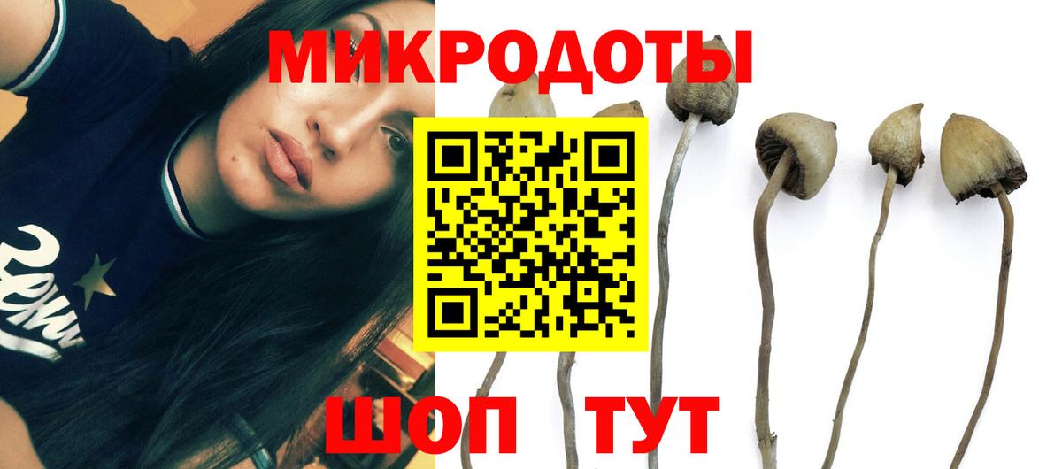 Галлюциногенные грибы мицелий Орехово-Зуево